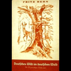 Deutsches Wild im deutschen Wald