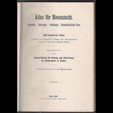 Atlas für Bienenzucht  / Anatomie - Histologie - Pathologie - Bienenfeindliche Tiere (1901)