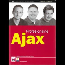 Ajax profesionálně