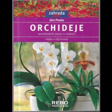 Orchideje / Nejkrásnější druhy a hybridy
