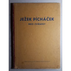 Ježek Pícháček mezi zvířátky (V. Kubašta, 1942)