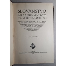 Slovanstvo / Obraz jeho minulosti a přítomnosti