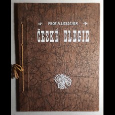 České elegie / Cyklus 21 obrazů od prof. Adolfa Liebschera